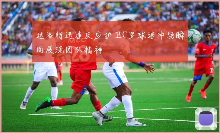 达洛特迅速反应护卫C罗球迷冲场瞬间展现团队精神